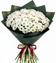 Букет цветов из:  Хризантемы #REPLACE_PRED# Старом Победилово