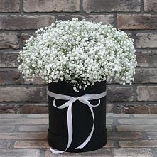 Цветочная композиция из Гипсофила в шляпной коробке в Старом Победилово