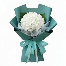 Букет цветов из:  Гортензия #REPLACE_PRED# Старом Победилово